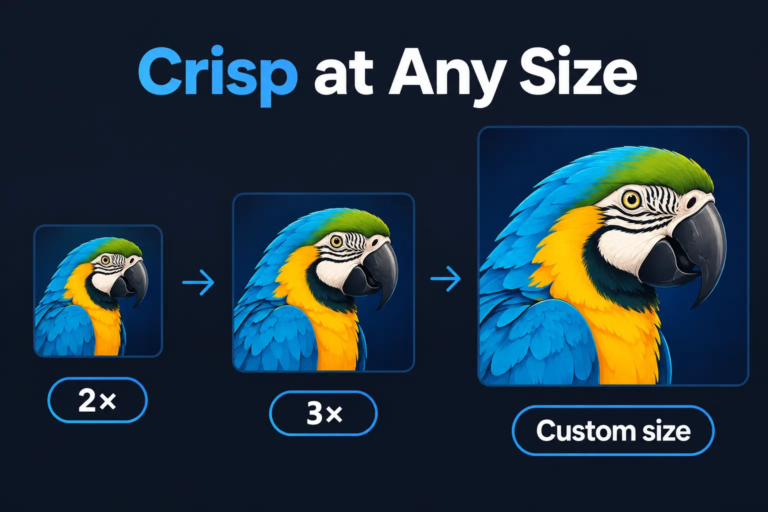 Vector rendering detail from EPS, AI and CDR files